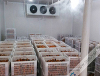 蔬菜水果保鲜冷库